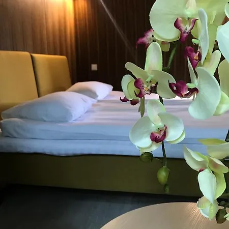 Hotel Palanga Camping 3* パランガ