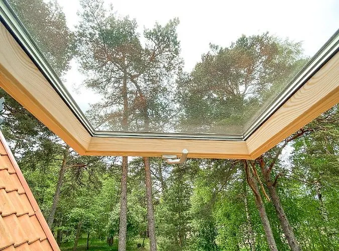 Hotel Palanga Camping מלון