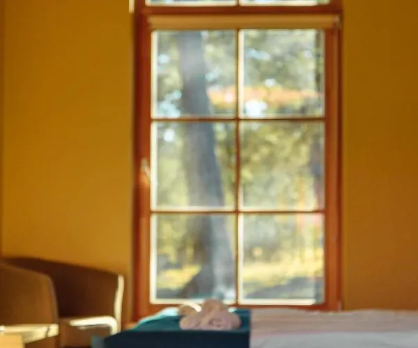 Hotel Palanga Camping מלון פלאנגה